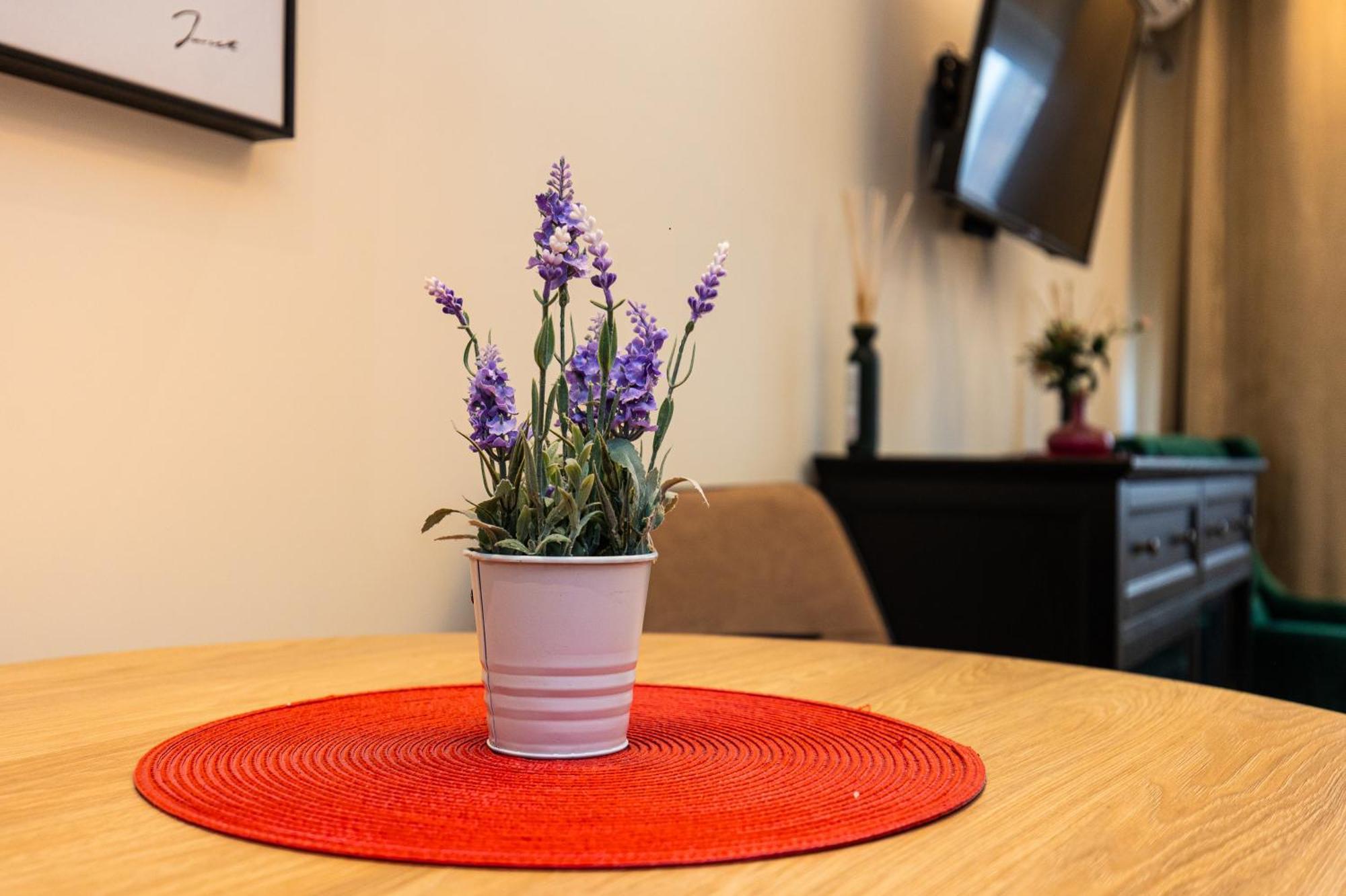 Apartment Mignon 베오그라드 외부 사진